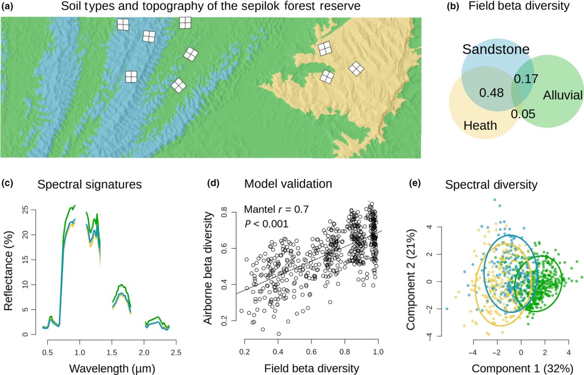 Using image spectroscopy to study diversity in tropical&nbsp;forests