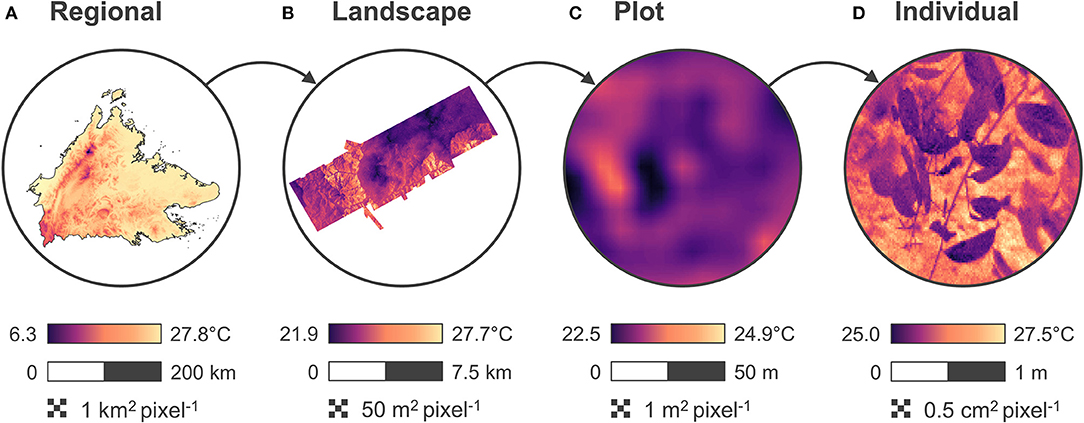 A Research Agenda for Microclimate Ecology in Human-Modified Tropical&nbsp;Forests