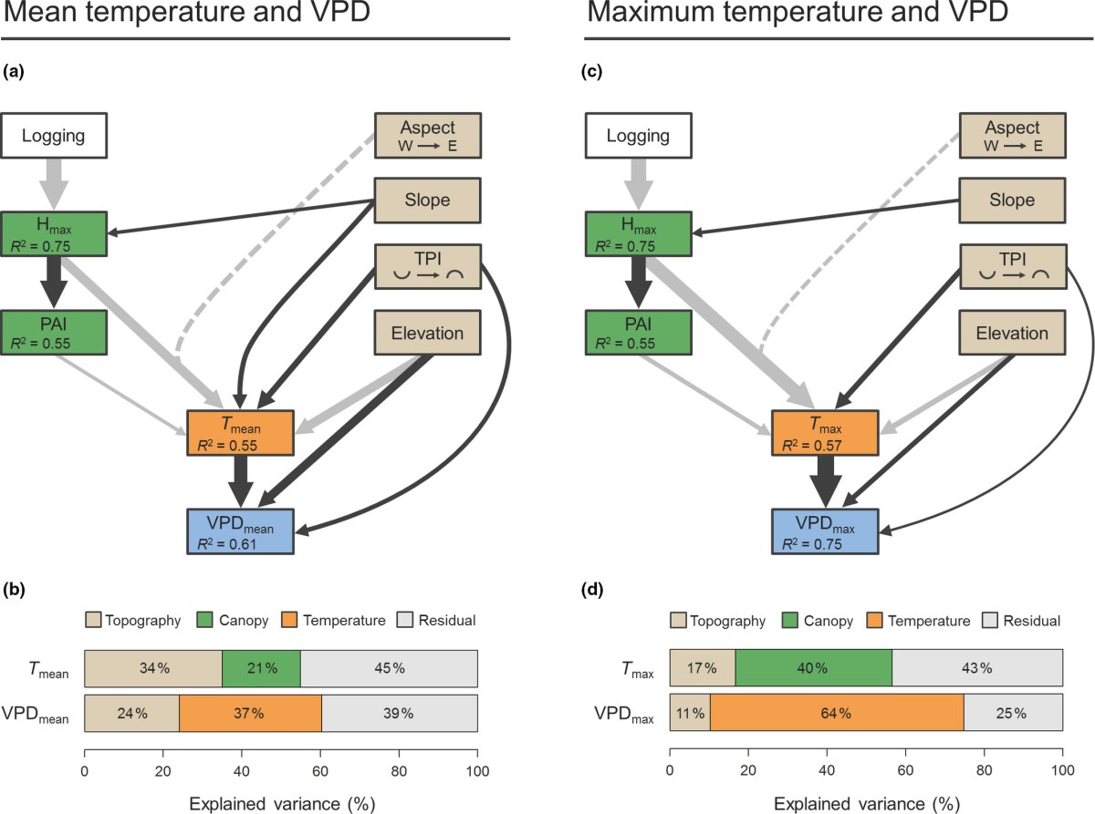 Canopy structure and topography jointly constrain the microclimate of human‐modified tropical&nbsp;landscapes