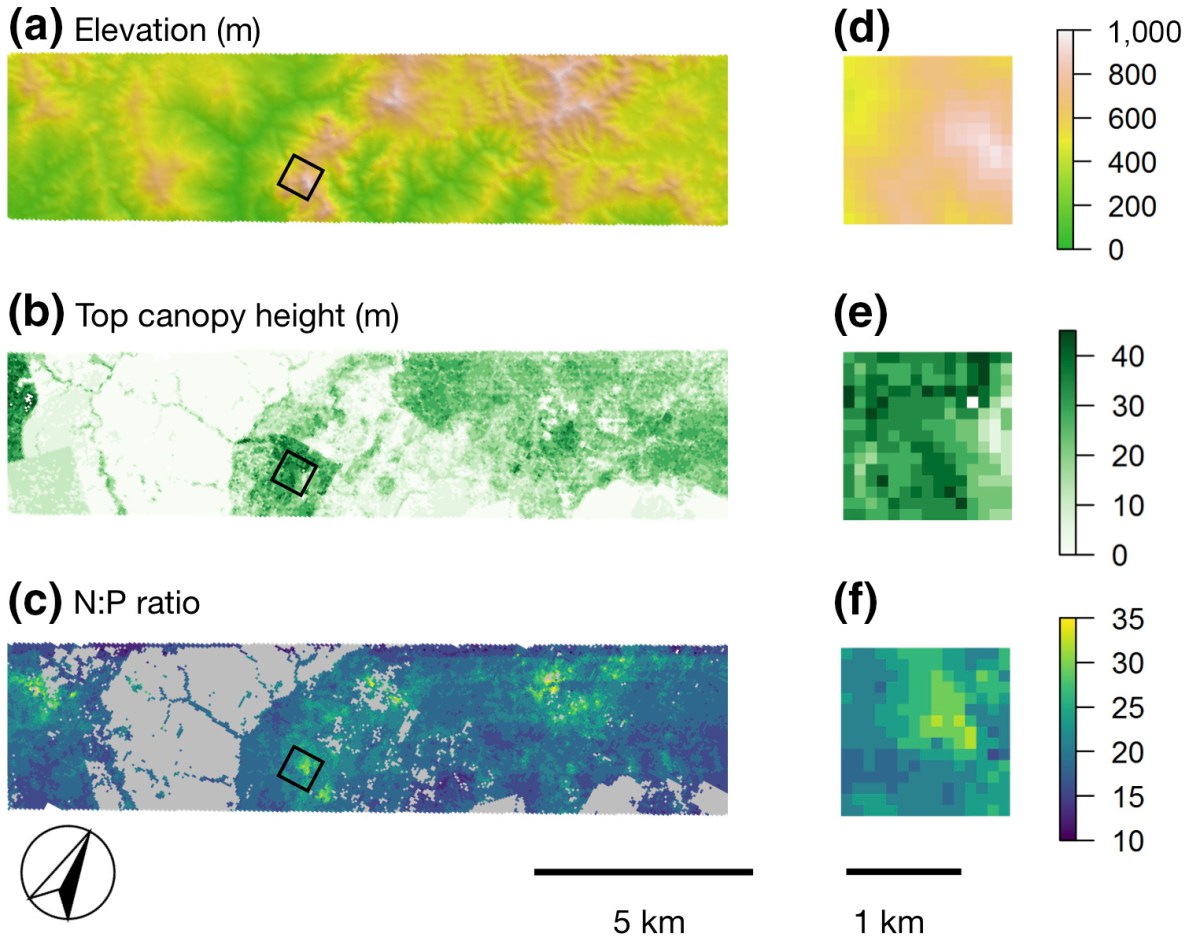 Imaging spectroscopy reveals the effects of topography and logging on the leaf chemistry of tropical forest canopy&nbsp;trees