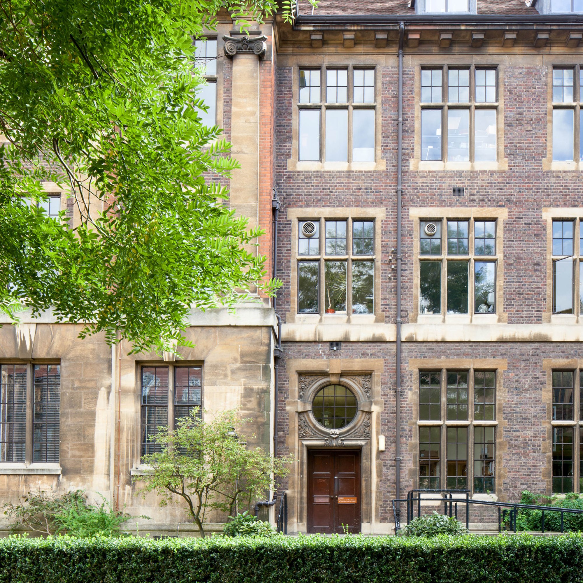 Department of Plant Sciences