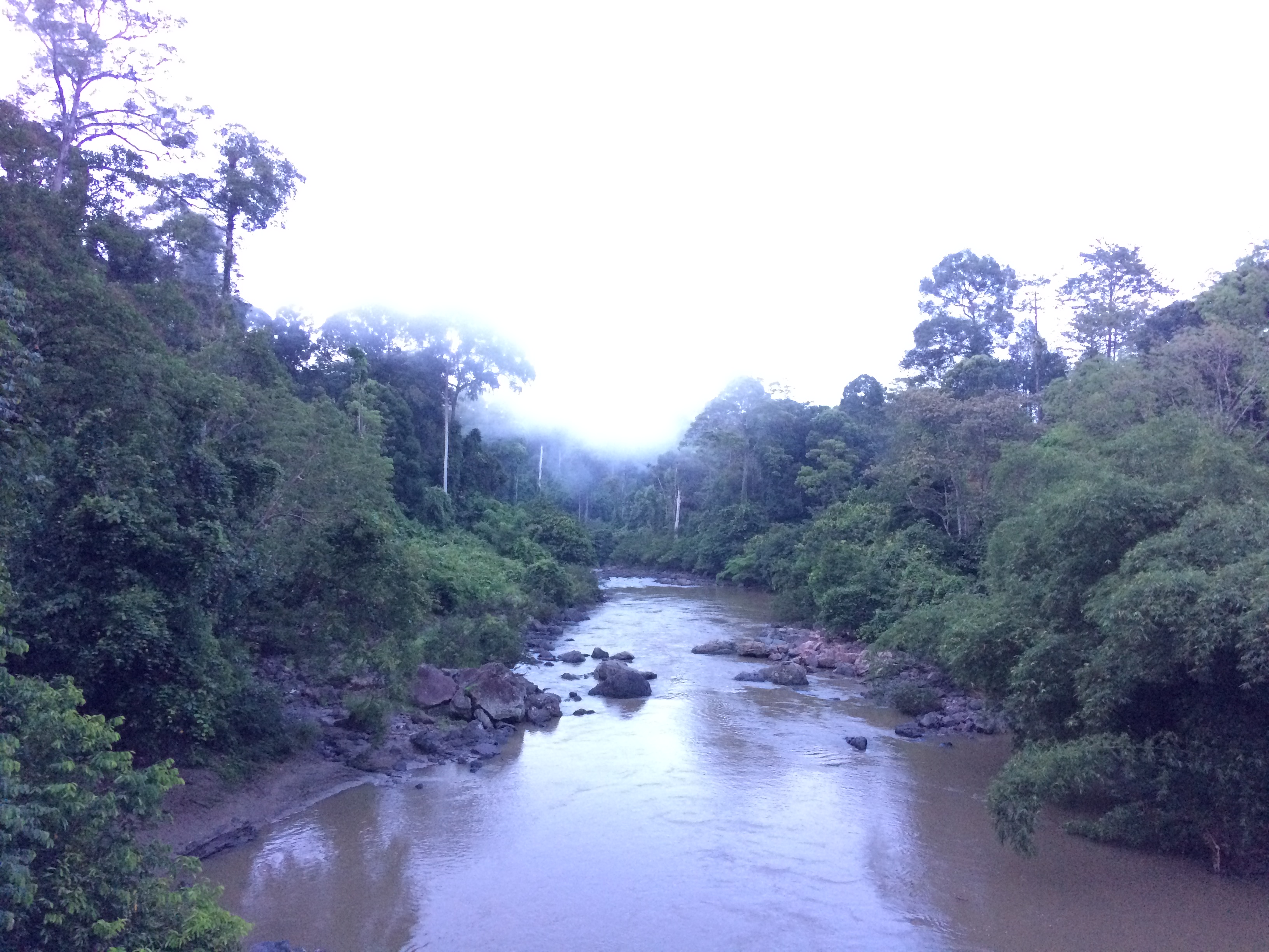 Danum Valley river