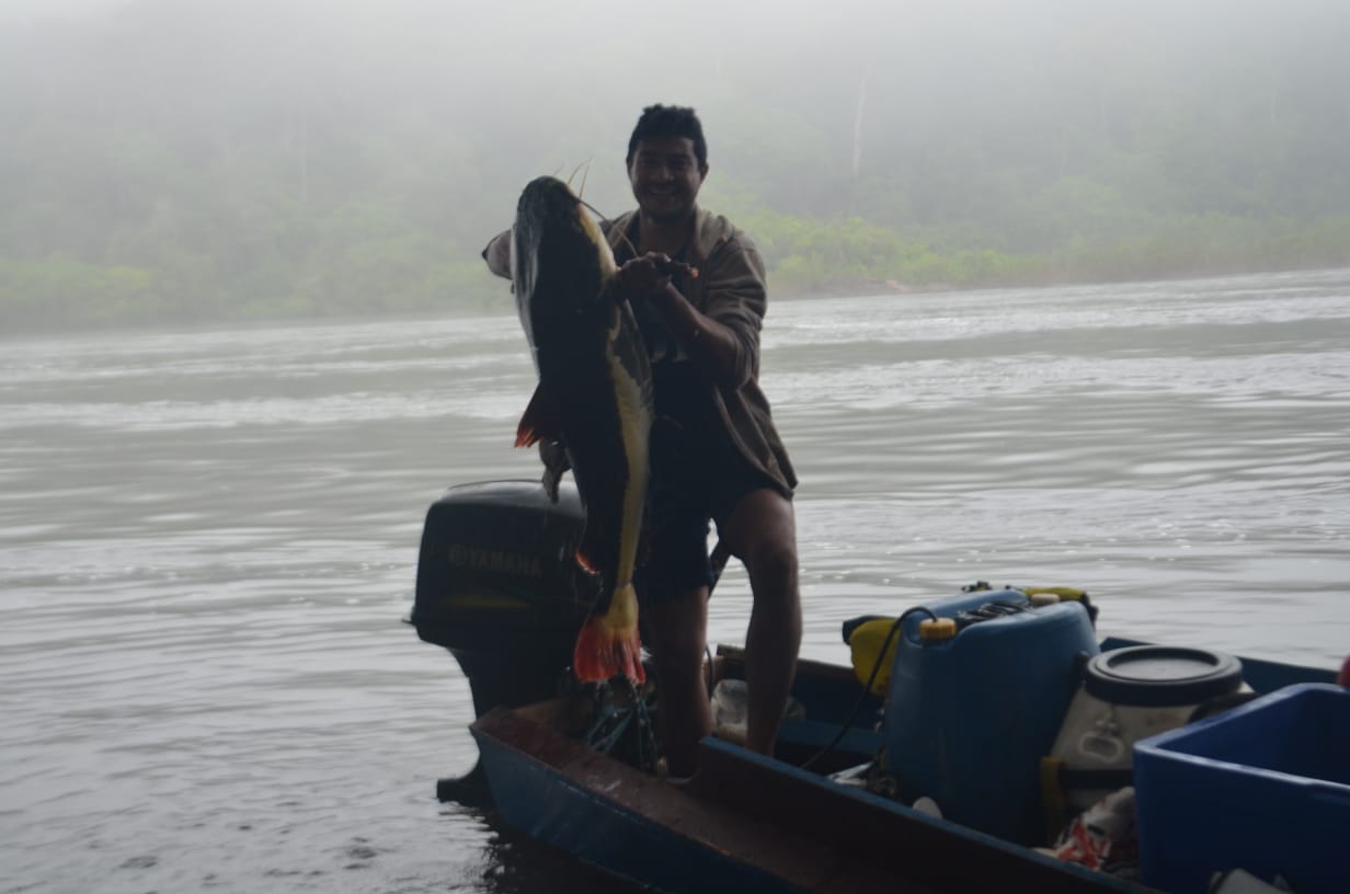 Jari tall tree trip - fishing