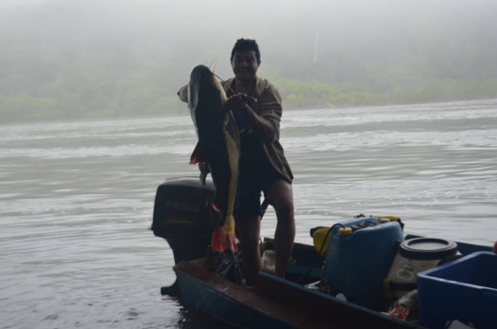 Jari tall tree trip - fishing