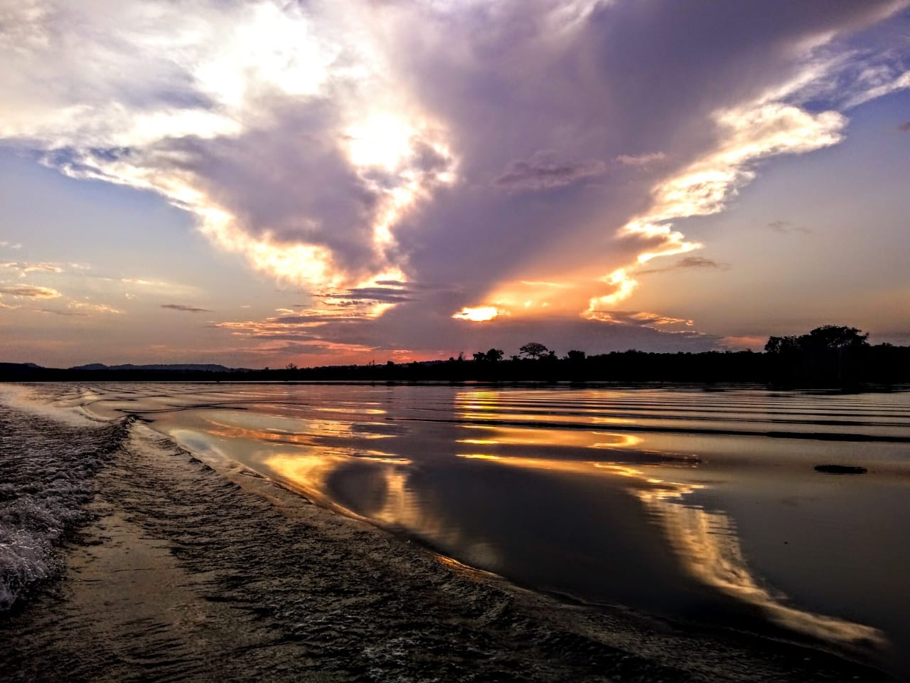 Jari tall tree trip - Sunset - Rafael Aleixo