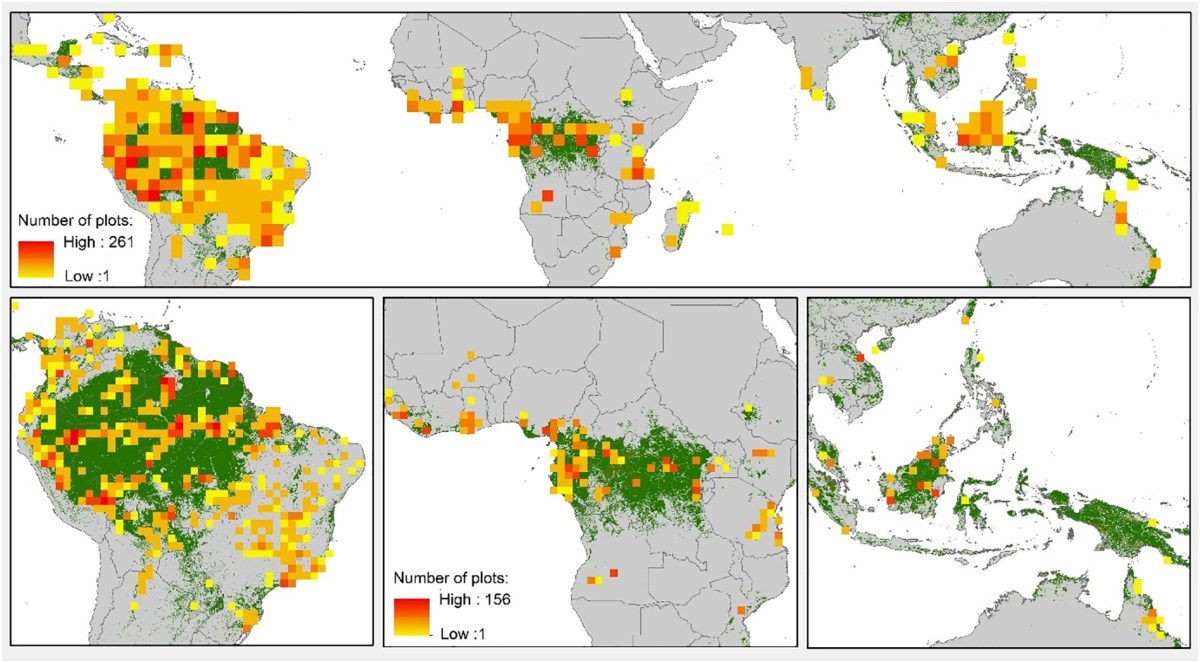 Taking the pulse of Earth’s tropical forests using networks of highly distributed&nbsp;plots
