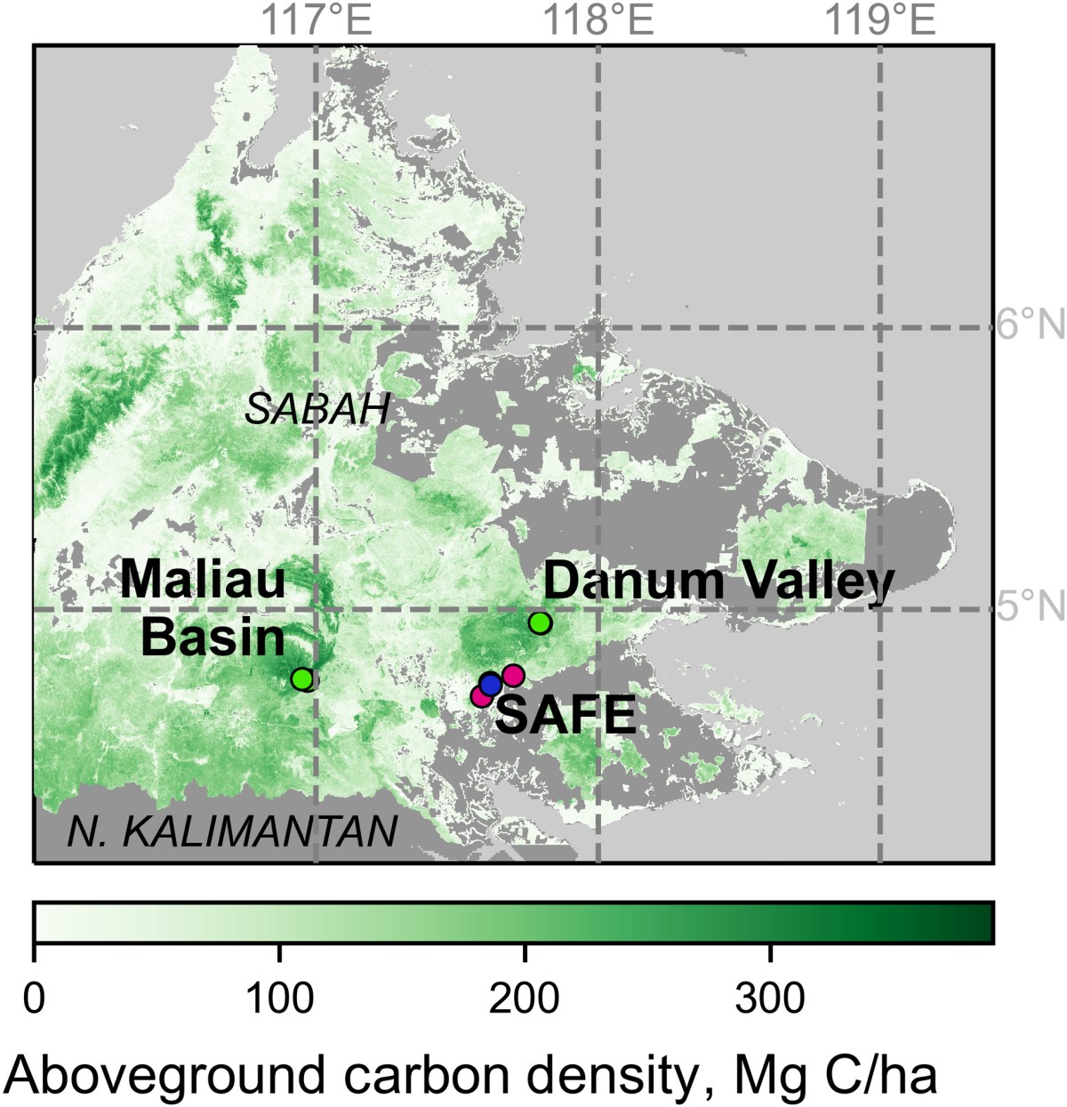 The impact of logging on vertical canopy structure across a gradient of tropical forest degradation intensity in&nbsp;Borneo