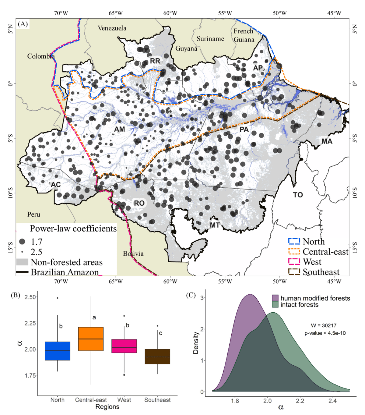 Forest disturbance and growth processes are reflected in the geographic distribution of large canopy gaps across the Brazilian&nbsp;Amazon