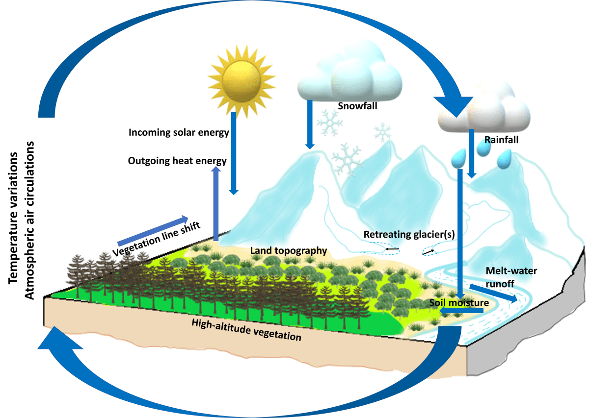 The rapid vegetation line shift in response to glacial dynamics and climate variability in Himalaya between 2000 and&nbsp;2014