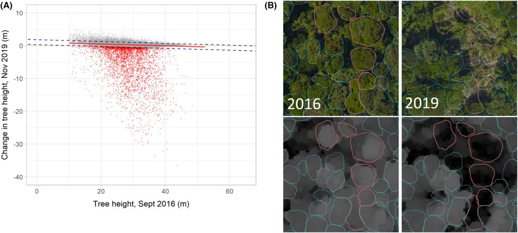 Accurate delineation of individual tree crowns in tropical forests from aerial RGB imagery using Mask&nbsp;R-CNN