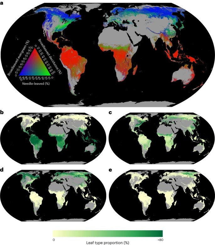 The global biogeography of tree leaf form and&nbsp;habit